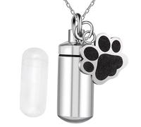 QUXVUIS Memorials Pet Urns Best Friend Reminded Box Combine Elegance And Functionality Offering Peace And Comfort For Pet Owners Ash Urns Cremation Remembrance Container, pendant, 2.8x1.1cm