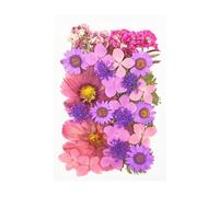 QUXVUIS Set Scrapbooking Tools Real Flower Decal Colorful Pressed Specimen Label Necklace Jewelry Makeup, Type 5