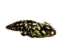 QUXVUIS Soft Stuffed Axolotl Doll Valentine Gifts Charming Decorative Pillow Adding Color Or Sleep with When are Bored. Stuffed Axolotl Pillow is Charming Decoration for Home, Green, 45cm