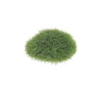 QUXVUIS Terrarium Decor for Rainforest Diorama Supplies Fake for Enchanted Forest Party Decorations Floral Assorted Plant Landscape, No.42 3 * 5cm