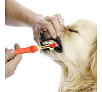 QUXVUIS Three Sided Pet Toothbrush Prevent Bad Breath Promote Tooth Hygiene Pet Toothbrush Three-Head Cleaning Dog Cat Care, Orange