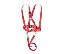 QUXVUIS Walking Harness for Child Toddlers Kids Leash is Outdoor Fun While Encouraging Social Skill Growth Skiing Ski Harness Playing Game Rope Motor Activity, Red, 39.5cm to 63cm
