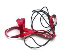 Quystetes 1 Piece Parrot Bird Harness Leash Flying Training Rope Kit For Bird Parrot Red S