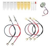 Quystetes Fruit Battery Science Experiment Kit with Electronic Clock and RGB LED for DIY Home Teaching Toy