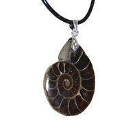 Quzente Conch Shell Necklace, Natural Conch FossilPendant Necklace, Conch Pendant, Seashell Mineral SpecimenGifts For Women Men