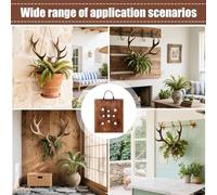 Quzente Staghorn Fern Mounting Board,Hangable Staghorn Fern Wall Mounting Plate | Rustic Air Plants Planter for Kitchen, Living Room, Hallway, Entryway, Porch, Patio, Bedroom