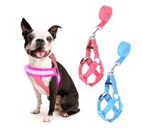 QVEEQ Light Up Dog Harness, led Dog Collar Rechargeable, Lighted Dog Collars for Night Safety Walking Camping Adjustable, Three Lighting Modes (Blue, S)