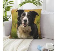QVUEagriSJ Throw Pillow Covers Mohado Border Collie Dog Pillow Cases Double Sided Couch Pillow Covers Decorative Throw Pillow Cover for Living Room Christmas Cushion Case for Sofa Couch Bed 16"x16"