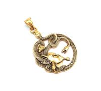 QWdfgS Necklace, Greek Mythology Medusa Gorgon Necklace - Stainless Steel Vintage Punk Intricate Snake(Gold)
