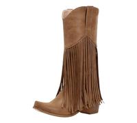 QWEDQWE Cowboy Boots for Women 2026,Fashion Pointed Toe Chunky Heel Embroidered Tassel Cowgirl Boot Vintage Western Knee High Boot Classic Wide Calf Riding Low Heel Winter Long Boots