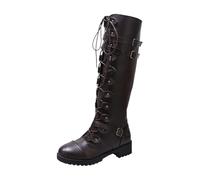 QWEDQWE Victorian Boot for Women 2026,70s Vintage Lace up Mid Heel Witch Granny Booties Renaissance Low Heel Boots Halloween Pointed Toe Side Zipper Kitten Heel Chunky Heel Ankle Boots