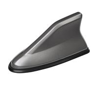 QWEERASS Car Aerials, for Fiat Doblo, Fiorino, Bravo, 500X, 500L, 500C Car Antenna Replacement AM/FM/DAB Roof Car Radio Aerial Mast Radio Signal Aerials Car Mods,C