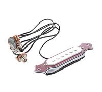 Qwertfeet Single Coil Magnetic Acoustic Guitar