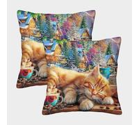 QWERTYUIOPD Orange Sleeping Cat 3D Pillow Cases Pillow Covers Set of 2 Countryside Landscape Polyester Cushion Covers Hidden Zipper for Adults Kids Bedroom Decor 50x50cm
