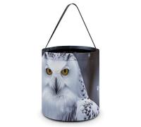 QWJKM Halloween Trick Or Treat Bags with Handles Arctic Owl Halloween Tote Bag Goodie Bags Candy Bucket Tote Halloween Candy Bags for Halloween Party 7.9x8.3 Inches, White, 7.9x8.3 Inches
