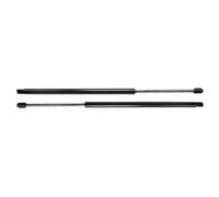 QWLMST 2Pcs/set Car Rear Tailgate Lift Support Rod Gas Spring Shock Struts For HONDA Pilot EX EXL LX SE-L EX-L 2003 2004 2005 2006 2007-2pcs