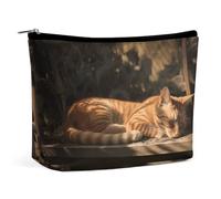 QWNMD Makeup Pouch Cosmetic Bag Lipstick Pouch Zipper Pouch Orange Cat Sleeping Printed Organizer Portable Toiletry Bag Accessories, Orange Cat Sleeping, 6.8 X 5.9 X 2.3 inch, Fashionable
