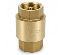 QWORK 1/2 Inch NPT Female Brass Check Valve, Inline Spring One Way Non Return Valve, 200 PSI, -40 to 250°F, Stainless Steel Spring, for Water, Air, Pump, HVAC