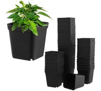 QWORK 100 Pack Square Plant Pots, 6cm Small Plastic Pots Nursery Pots for Seedlings Succulents Fruits Herbs Vegetables