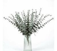 QWORK® 30Pcs Frosted Green Artificial Eucalyptus Stems for Wedding and Home Decoration