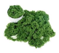 QWORK® Artificial Moss 150g - Vibrant Green Lifelike Faux Moss for Model Landscaping, Floristry & DIY Crafts - Fake Moss for Terrariums, Wreaths, Christmas and Easter Decorations