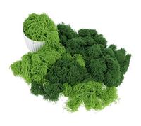 QWORK® Artificial Moss 200g (100g Light Green + 100g Dark Green) - Realistic Faux Moss for Indoor Plant Pots, Terrariums & Model Making - Non-Fading Nylon Craft Moss for Floristry and Landscaping