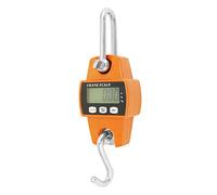 QWORK® Digital Hanging Scale, 300KG / 660lb, Aluminum Digital Luggage Scale, for Wharf Weighing, Steel Raw Materials, Fishing