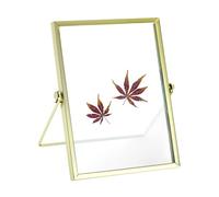 QWORK® Gold Floating Picture Frame, Overall Size 6 x 8 Inch, Inner Display Area 5.3 x 7.3 Inch, for Pressed Flower & Leaf Artwork, Botanical Display