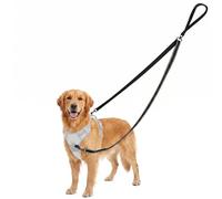 QWORK® Two Point Control Dog Leash, 4 Ft Anti Pull Dog Lead, for Medium Large Dogs (Black)