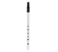Qwrqwr Irish Tin Whistle Key of D Brass 6-Hole Penny Slide Whistle for Beginners Music lover for Classic Traditional Celtic Music (silver)