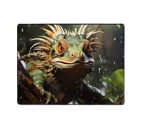 Qwvbn Spiny lizards Prints Anti-slip floor mat 63x48in home décor soft and non-slip suitable for living rooms hotels and offices.