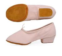 QWWQYDY Ballet Shoe Low-Heeled Canvas Teacher Practice Soft Ballroom Dance Shoes Salsa Tango Ballet Women(Pink,36)