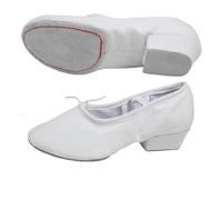QWWQYDY Ballet Shoe Low-Heeled Canvas Teacher Practice Soft Ballroom Dance Shoes Salsa Tango Ballet Women(White,33)