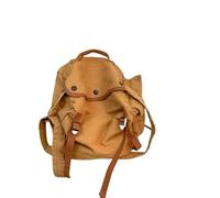 QWWQYDY Messenger Bag Women's Large Capacity Thick Canvas Messenger Bags Designer Handbags Versatile Travel Shoulder Bag Unisex School Crossbody(Brown)