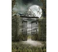 QXDZSW Halloween Horror Night Moon Forest Pumpkin Scary Castle Cemetery Skeleton Family Party Halloween Photography Background