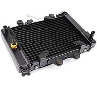 Qxryzp Engine Radiator, for Motorcycle Moto Quad 4X4 Atv Utv Parts 200Cc 250Cc Water Cooling Cooler 12V AC condenser module(BLACK B radiosink)