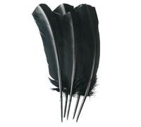 QXWD 100 Pcs Multicolor Turkey Feathers 10-12inch Goose Feathers For Wedding Party Decoration Headdress Crafts Feather
