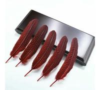 QXWD 10Pcs Natural Guinea Fowl Feathers Jewelry Making Spotted Pheasant Feather Decoration Wedding Handicraft Accessories