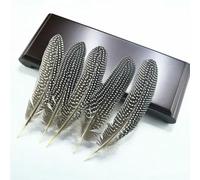 QXWD 10Pcs Natural Guinea Fowl Feathers Jewelry Making Spotted Pheasant Feather Decoration Wedding Handicraft Accessories