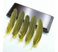QXWD 10Pcs Natural Guinea Fowl Feathers Jewelry Making Spotted Pheasant Feather Decoration Wedding Handicraft Accessories