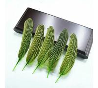 QXWD 10Pcs Natural Guinea Fowl Feathers Jewelry Making Spotted Pheasant Feather Decoration Wedding Handicraft Accessories