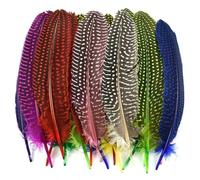 QXWD 10Pcs Natural Guinea Fowl Feathers Jewelry Making Spotted Pheasant Feather Decoration Wedding Handicraft Accessories