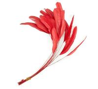 QXWD 10PCS White Real Rooster Tail Feathers Decoration Craft Feather Carnival Christma Pheasant Feather 25-30CM