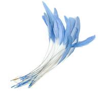 QXWD 10PCS White Real Rooster Tail Feathers Decoration Craft Feather Carnival Christma Pheasant Feather 25-30CM
