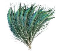 QXWD 50Pcs Natural Peacock Sword Feathers Crafts 30-35cm/12-14" Peacock Feathers for Jewelry Making Wedding Accessory