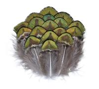 QXWD Natural Pheasant Feathers Peacock Feather Eagle Small Plume Handicraft Accessories Jewelry Creation Holiday Decoration