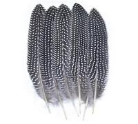 QXWD Natural Pheasant Feathers Peacock Feather Eagle Small Plume Handicraft Accessories Jewelry Creation Holiday Decoration