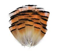 QXWD Natural Pheasant Feathers Peacock Feather Eagle Small Plume Handicraft Accessories Jewelry Creation Holiday Decoration