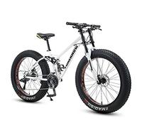 QYEZSOTL Mountain Bikes,Fat Tire Bike for Men Women, 24-Inch Wheels, 4-Inch Wide Knobby Tires 7/21/24/27/30 Speed Beach Snow Mountain Bicycle, Dual-Suspension & Dual Disc Brake/White/21 Speed