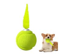 Qyljeiwred Cat Ball with Feathers,Kitten Exercise Ball with Sound - Bouncy Interactive Entertainment Funny Play Reduces Boredom Training Tool for Indoor Outdoor Cat Kitten Fun Activity